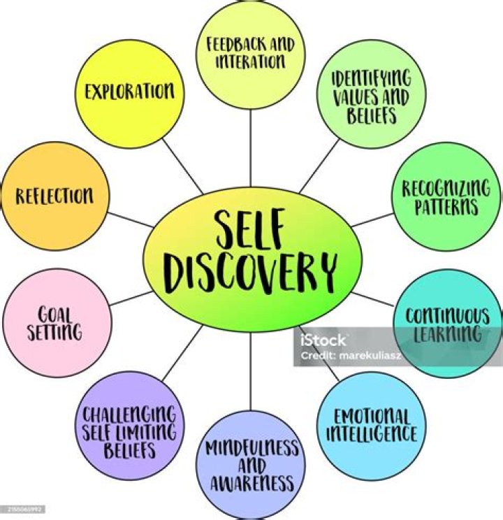 A Journey Of Discovery And Artistic Revolution