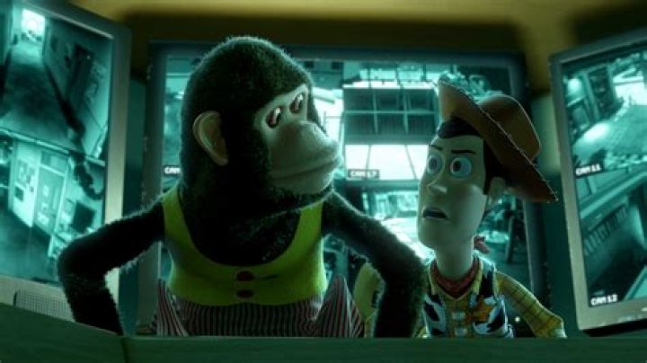 Discoveries With Monkey Watching Cameras