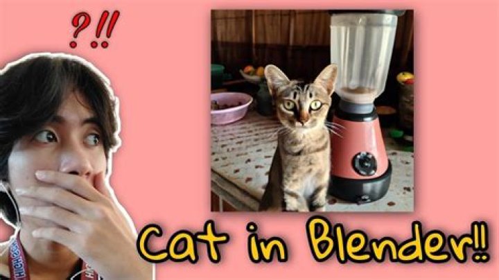 Unveiling The Truth Behind "Cat Blender Original": Discoveries And Insights